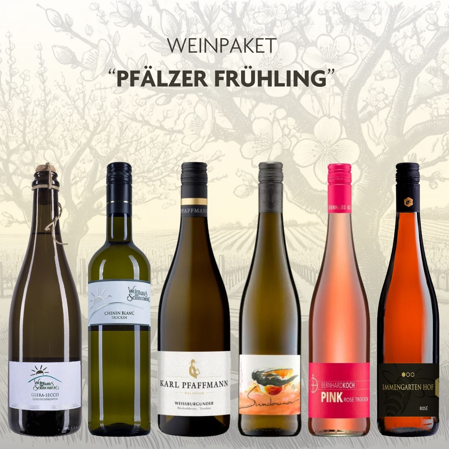 Weinpaket-Pfaelzer-Frühling-Weinprobierpaket Weinpaket Pfälzer Frühling mit 6 Flaschen Weiß- und Roséwein aus der Pfalz