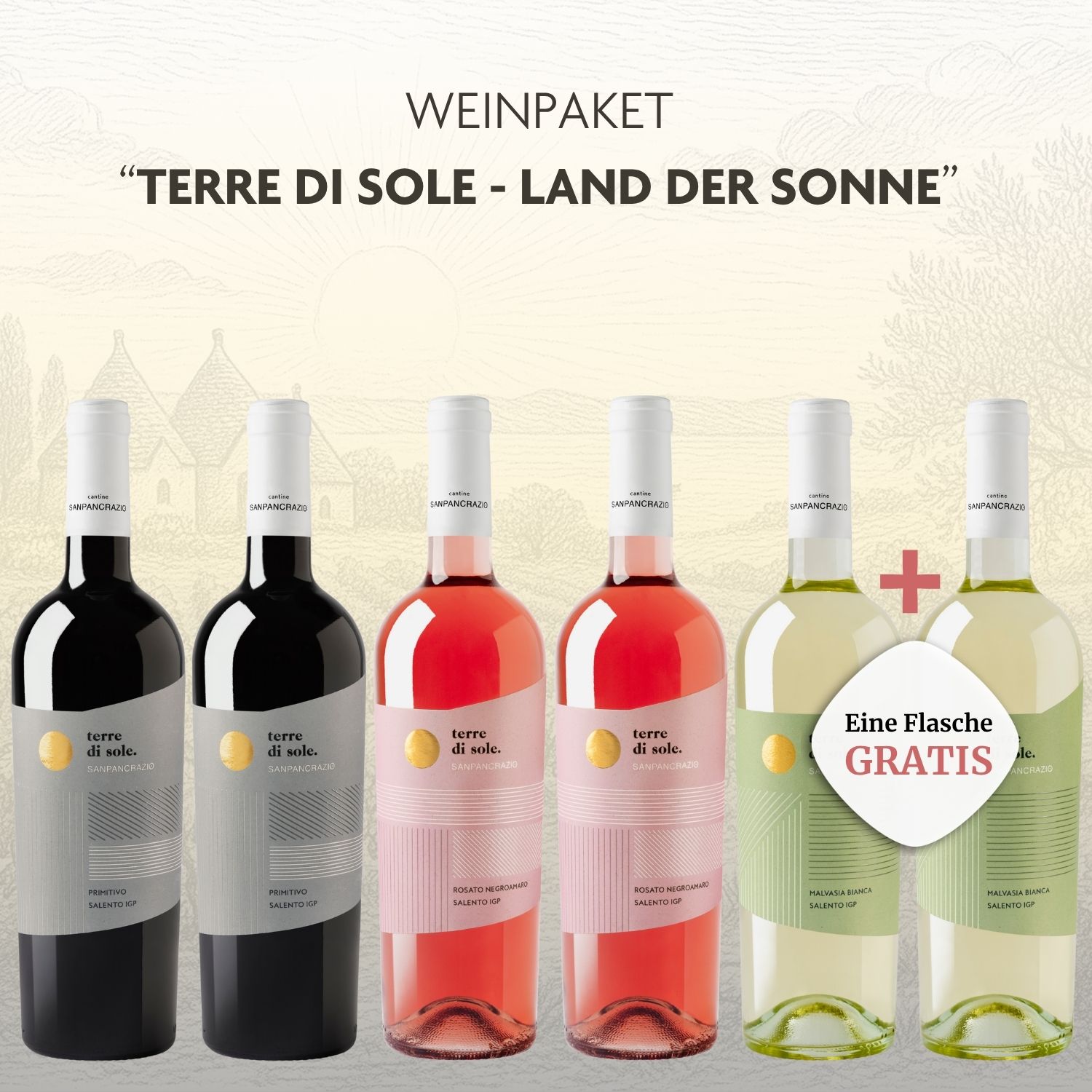 Weinpaket-Terre-di-Sole-Apulien-Italien Weinpaket Terre di Sole Land der Sonne
